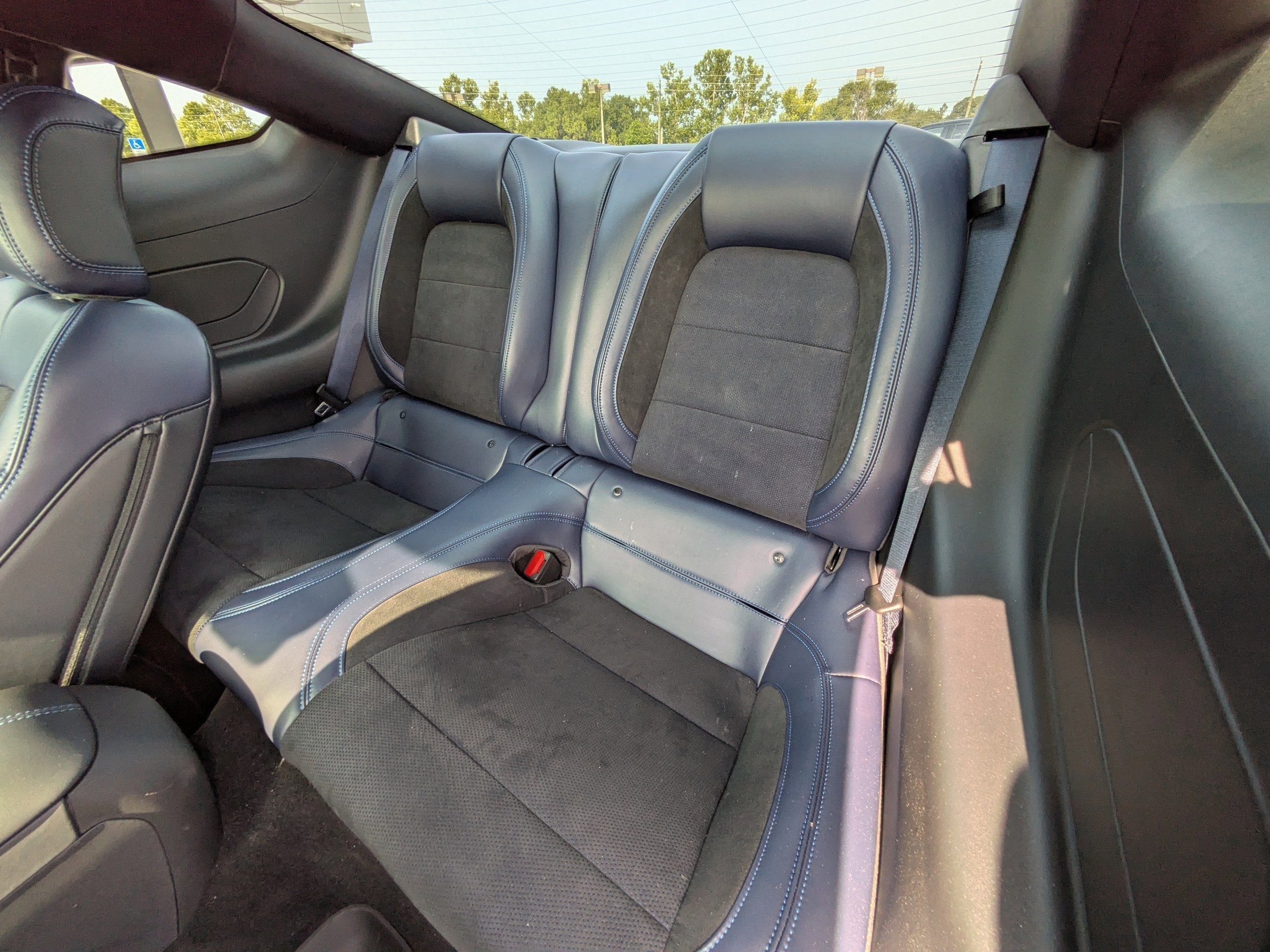 2024 Ford Mustang Dark Horse