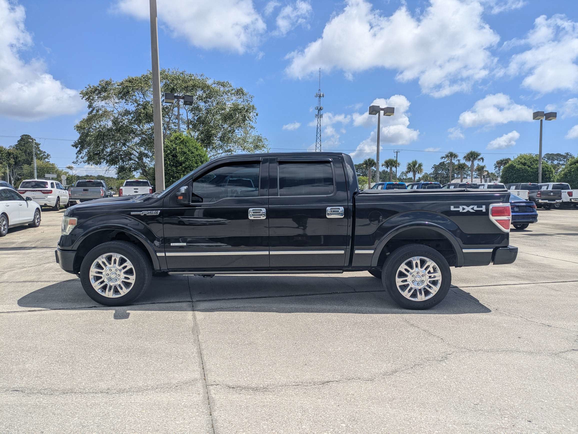 2013 Ford F-150 Platinum