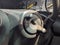 2001 Chevrolet S-10 LS w/ZR2